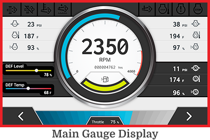Main Gauge Display Screen