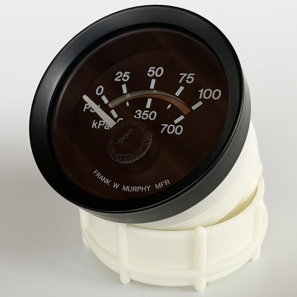 EG21P-100-12-A (05702399) Electric Pressure Gage