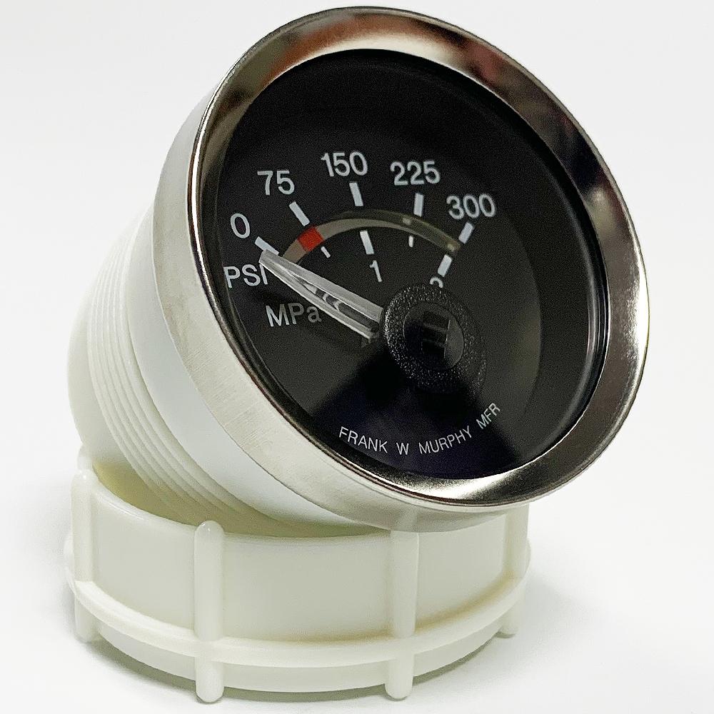 EGS21P-300-12 Electric Pressure Swichgage®